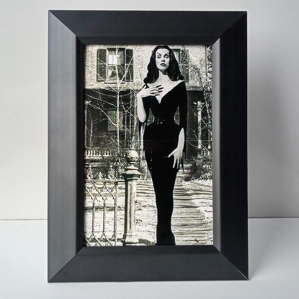 Vampira Vintage Horror Gothic Punk Witchy Goth Beautiful beauty pin up portrait - Picture 4 of 6